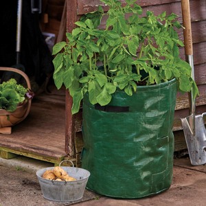 Potato Planter Bags Twin Pack