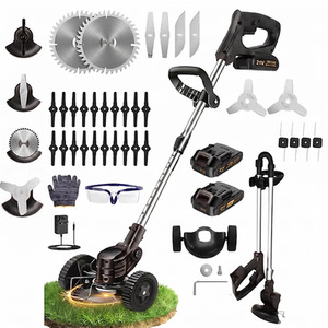 21V Cordless 3in1 Grass Trimmer with 2 Batteries