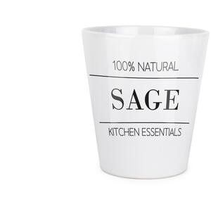 Minimalist Design Small Ceramic Plant Pot