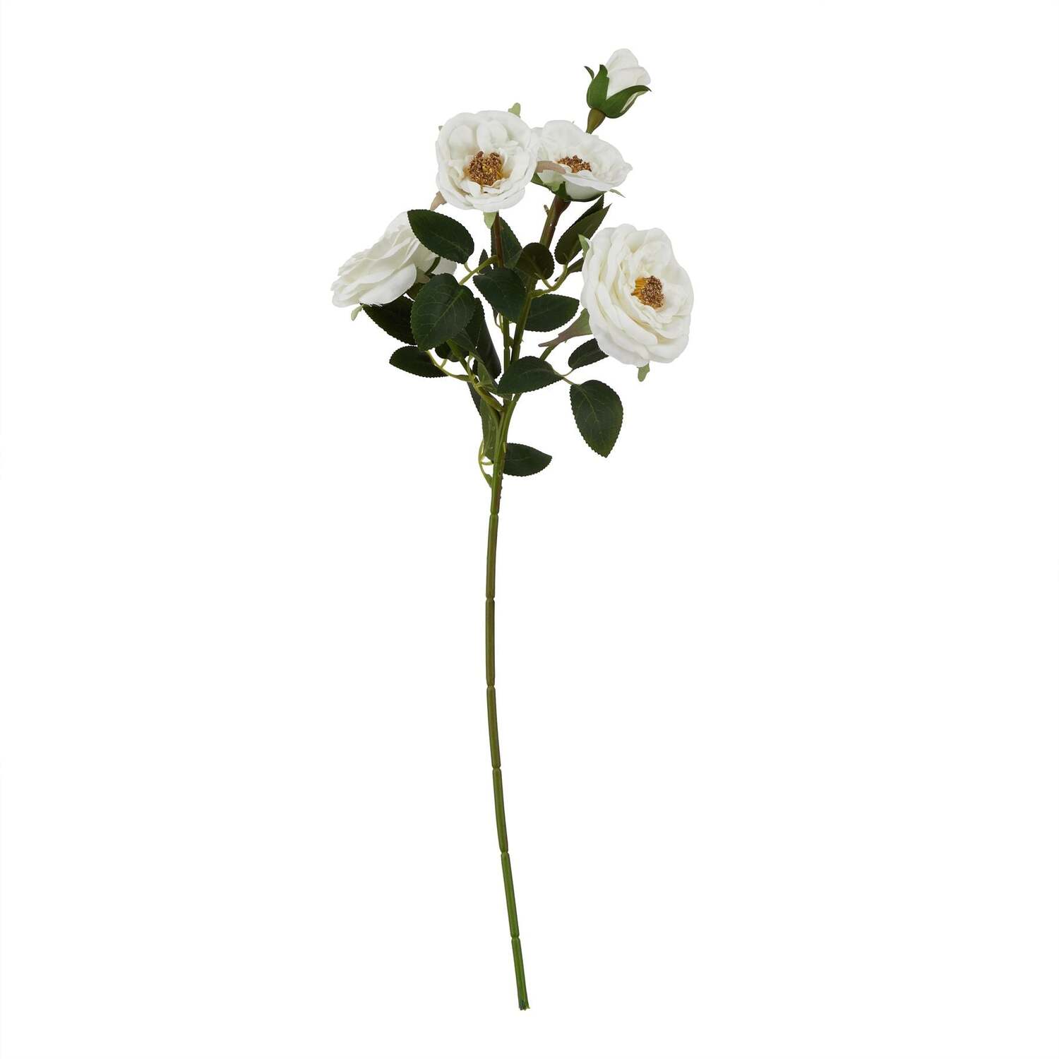 - The Natural Garden Collection White Hedge Rose Stem - Image 2