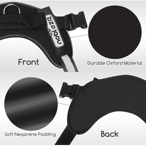  shot 22301199