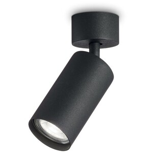 Dynamite Indoor 1 Light Spotlight Ceiling Lamp