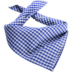 Checked Oktoberfest Scarf