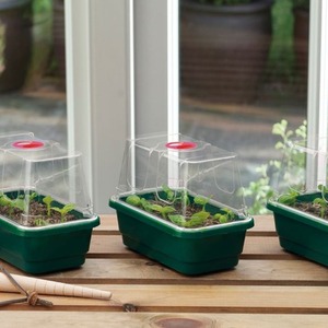 3 Mini High Dome Propagator Set Greenhouse Seed Seedling Trays 17cm