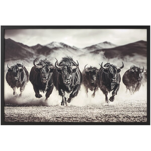 Charging Bisons Framed Gloss Art