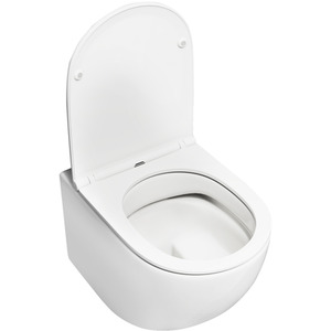 Wall Hung Toilet