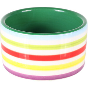 Small Rainbow Pet Bowl