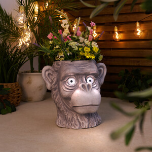 Solar Monkey Planter