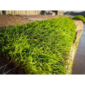 TurfWorld Emerald Lawn Turf 10m²