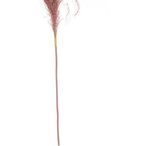 Fiori Tall Pink Pampas Grass Stem
