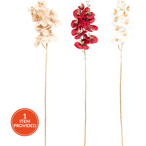 Shimmer Orchid Stem