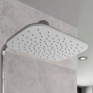 Thermostatic Dual Head Exposed Mixer Shower with Shelf