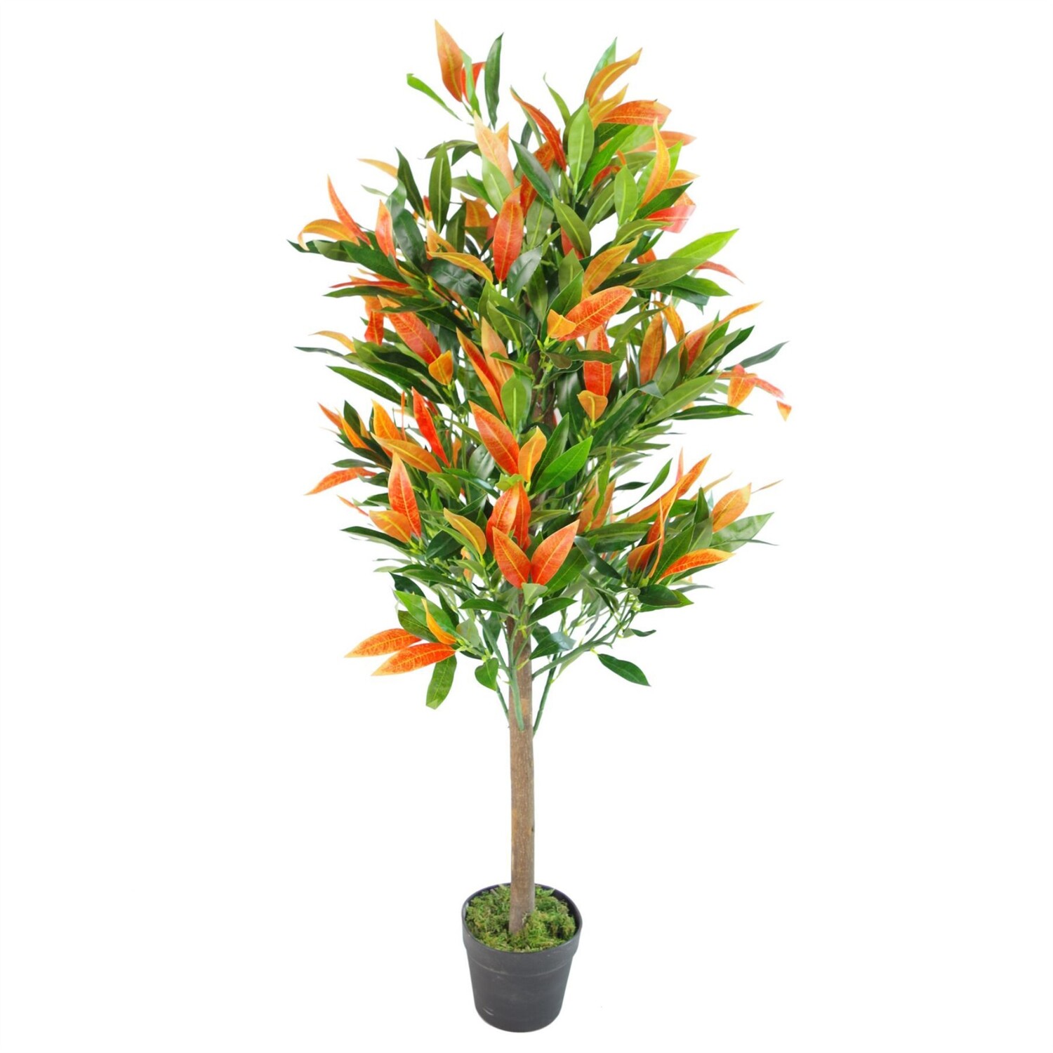 130cm Red & Green Ficus Tree in Black Plastic Pot - Red