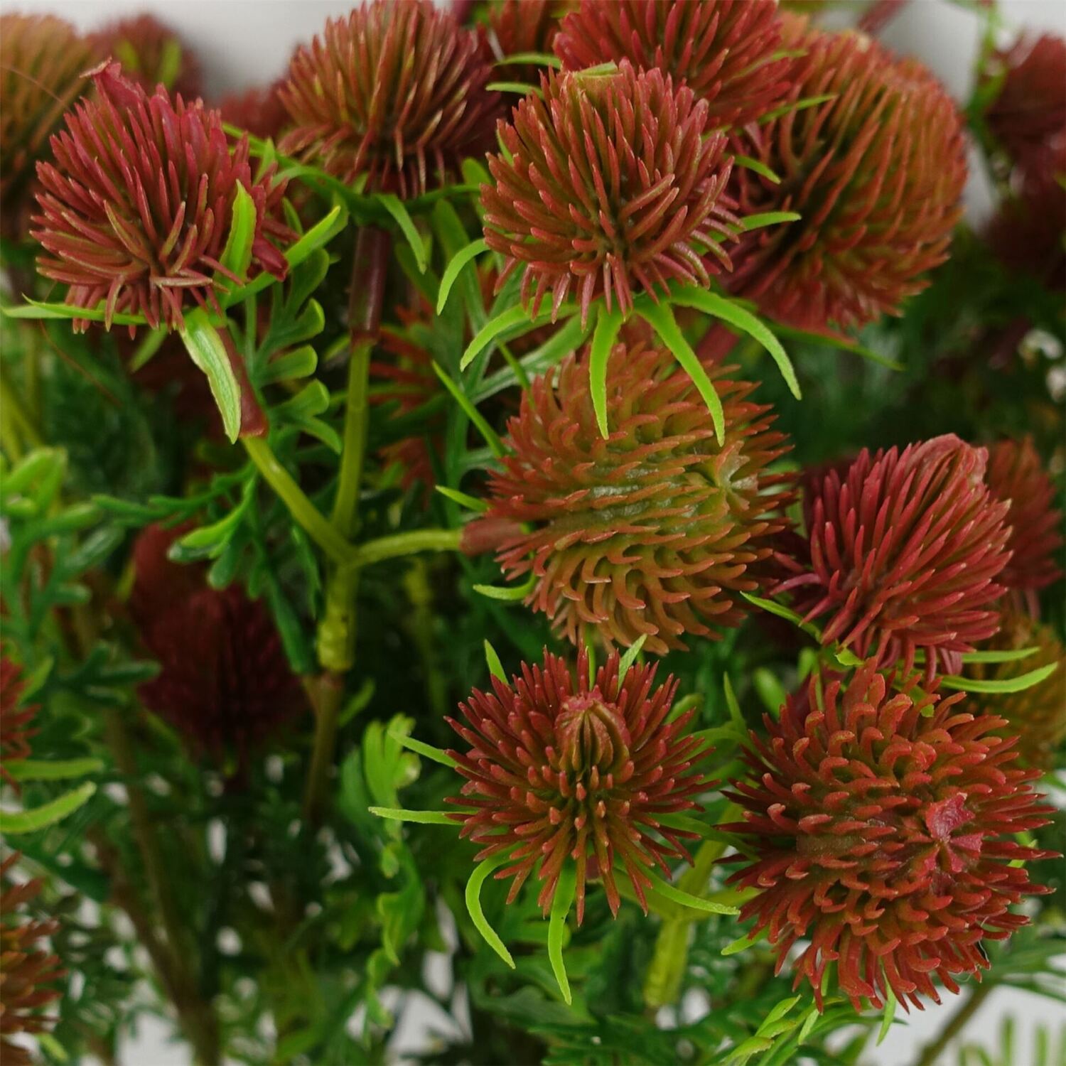 B&Q - Pack Of 6 X 55Cm Craspedia Stem Red Artificial - Image 2