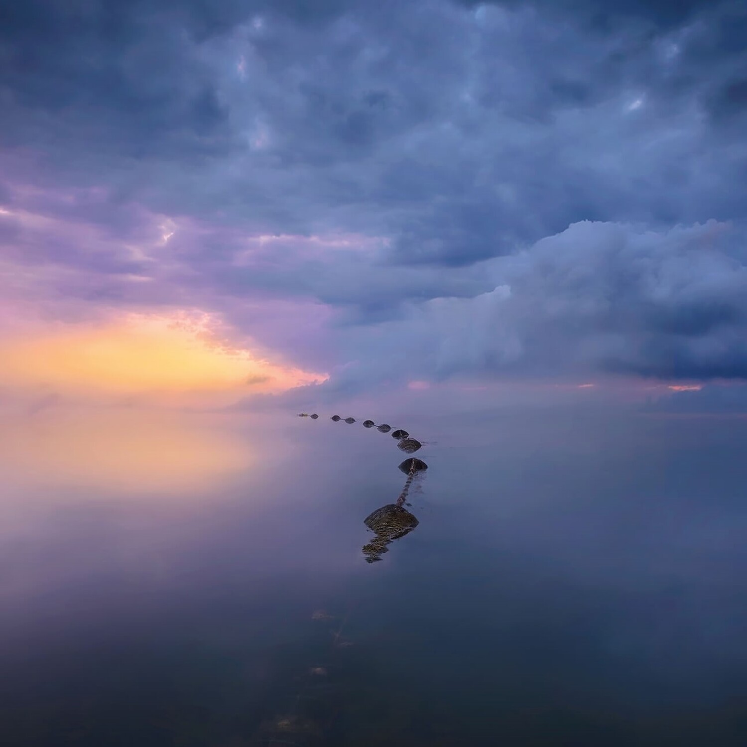 Wetland Sunrise Wall Mural - Purple