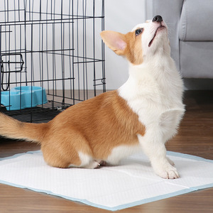 Disposable Puppy Training Pads for Toilet Training