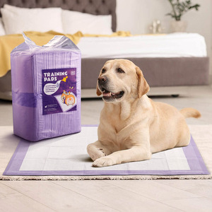 Dog Training Pads Leak Proof Disposable Urinal Pads