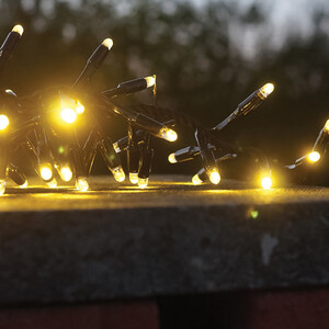 Cluster Lights Black Rubber ip65 WW 5M