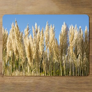 Pampus Grass Designer Placemat Set
