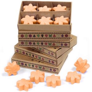 Box of 6 Wax Melts Mango Fruits