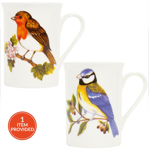 Panama Blue Tit or Robin Mug