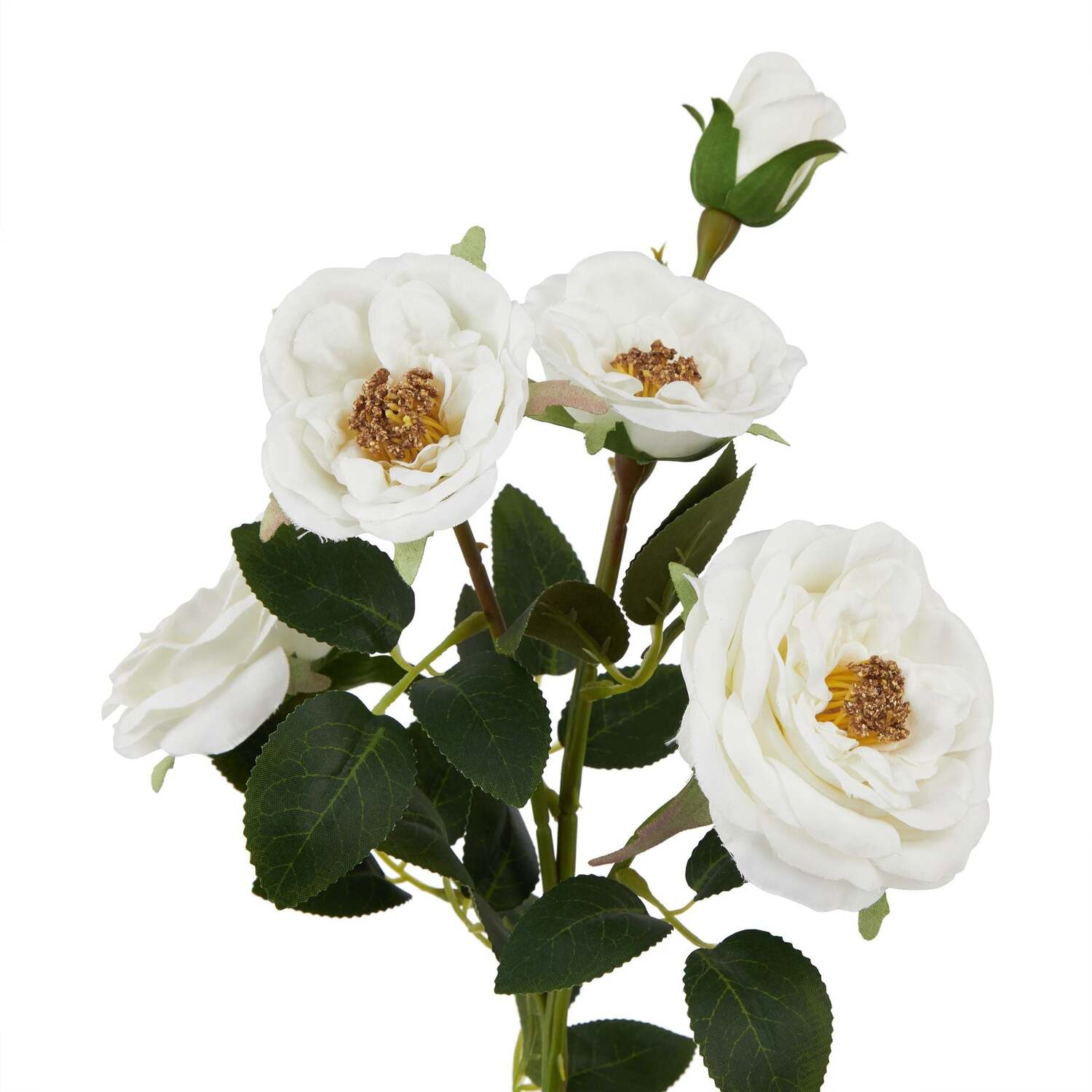 Wyld Haus Set of 3 Artificial White Hedge Rose Stems - White