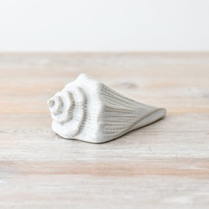 Deco Shell Ornament