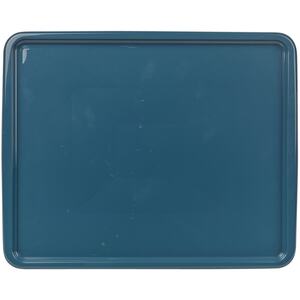 Dish Drainer and 3 Compartment Utensil Holder with Tray 9x46x37 - Blue