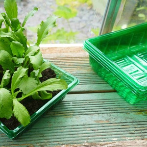 Visiroot Seed Trays