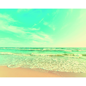  shot 16042114