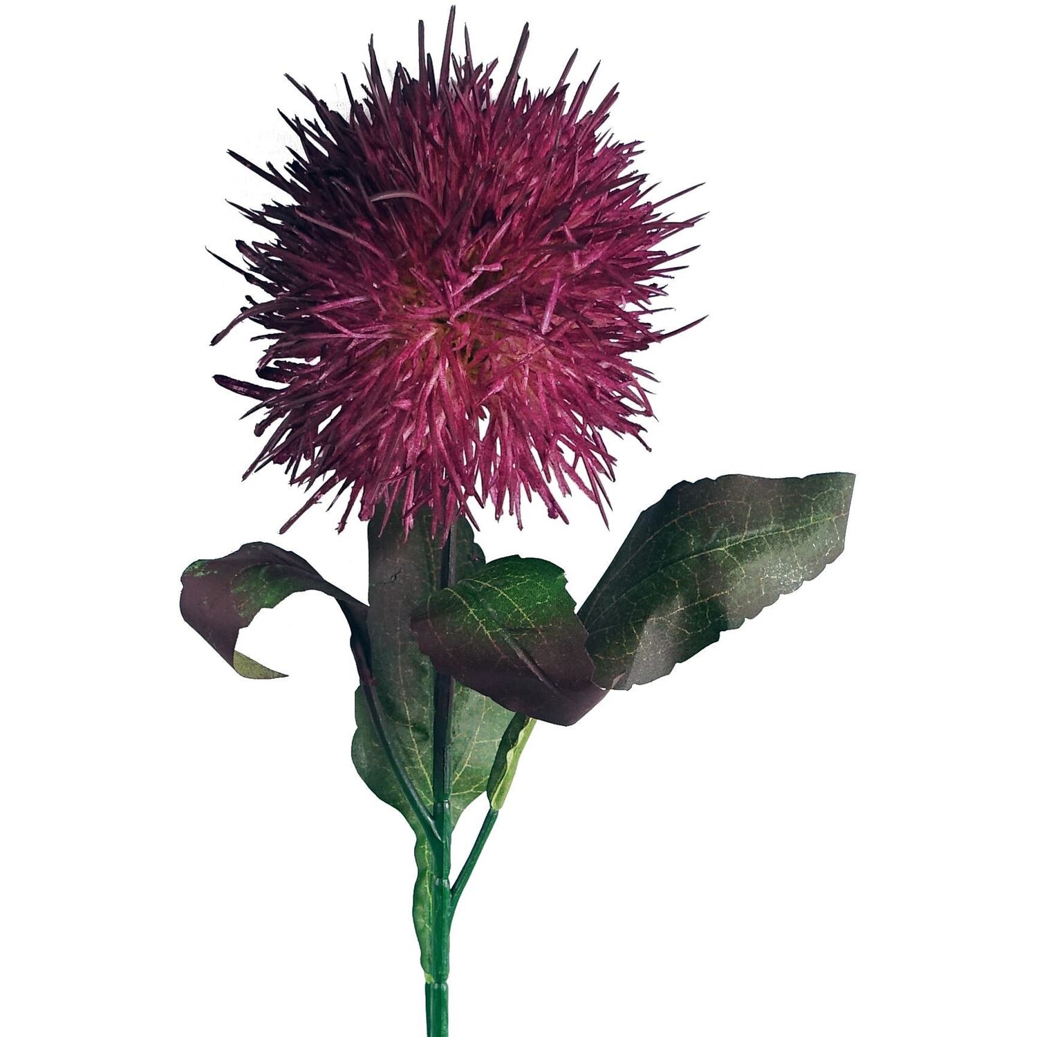 B&Q - Pack Of 6 X 70Cm Globe Thistle Purple Ball Artificial Flower Stem - Image 2