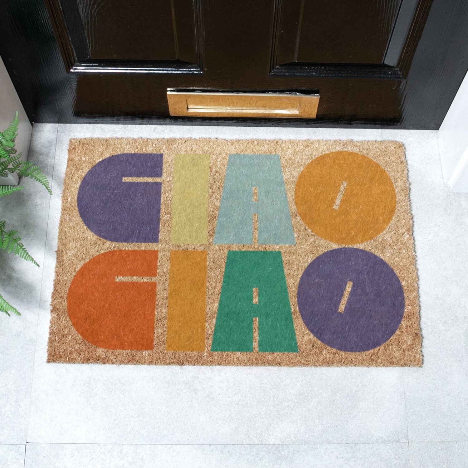 Artsy Mats Elizabeth Olwen Ciao Ciao Coir Doormat (60X40cm) - Brown