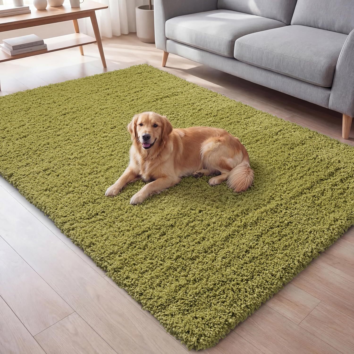 Ruglenza Galaxy Shaggy Rug - Green / 230Cm