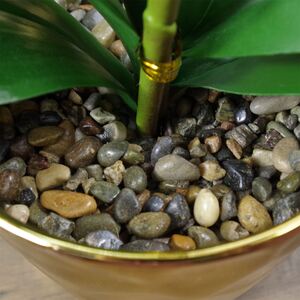  shot 9836147