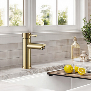 Livingandhome Single Lever Stainless Steel Basin Tap