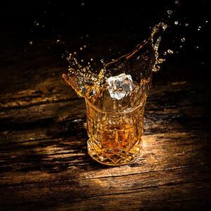  shot 11269465