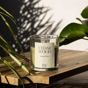 green Scented Candle Cedar Wood Jar shot 11610254
