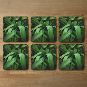 Atmospheric background, Selective focus Designer Coaster Set