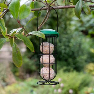 Peckish Energy Ball Feeder