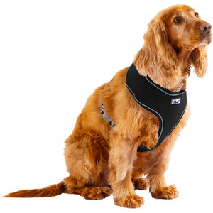 Comfort Mesh Dog Harness