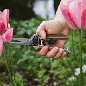 Kent & Stowe Garden Life Flower Snips