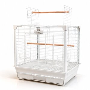 Treetop Classic Top-Opening Bird Cage for Budgies, Canaries & Finches