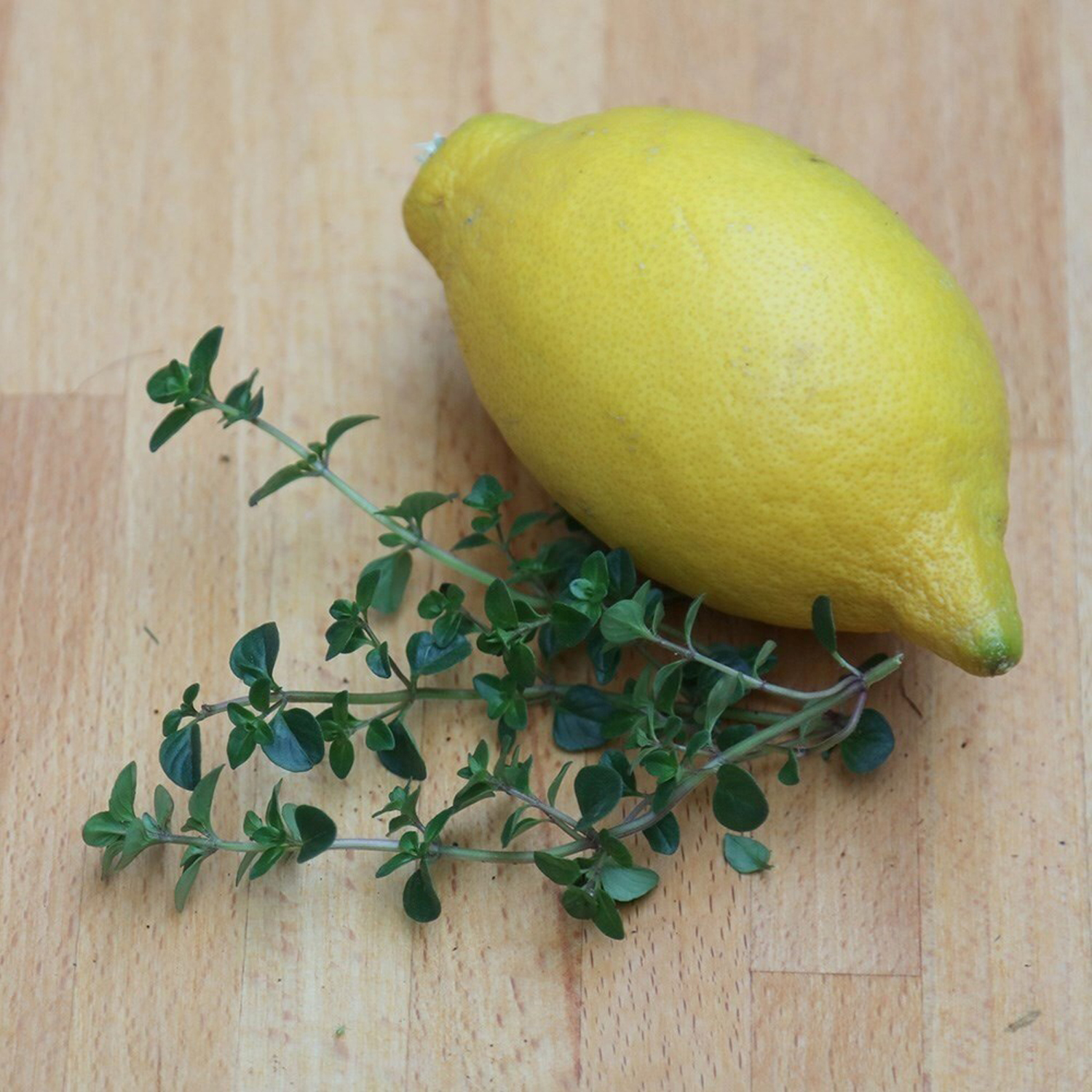 Primrose Thyme Culinary Lemon Lemon Thyme 9Cm Pot Herb Garden Plant - Green / 1