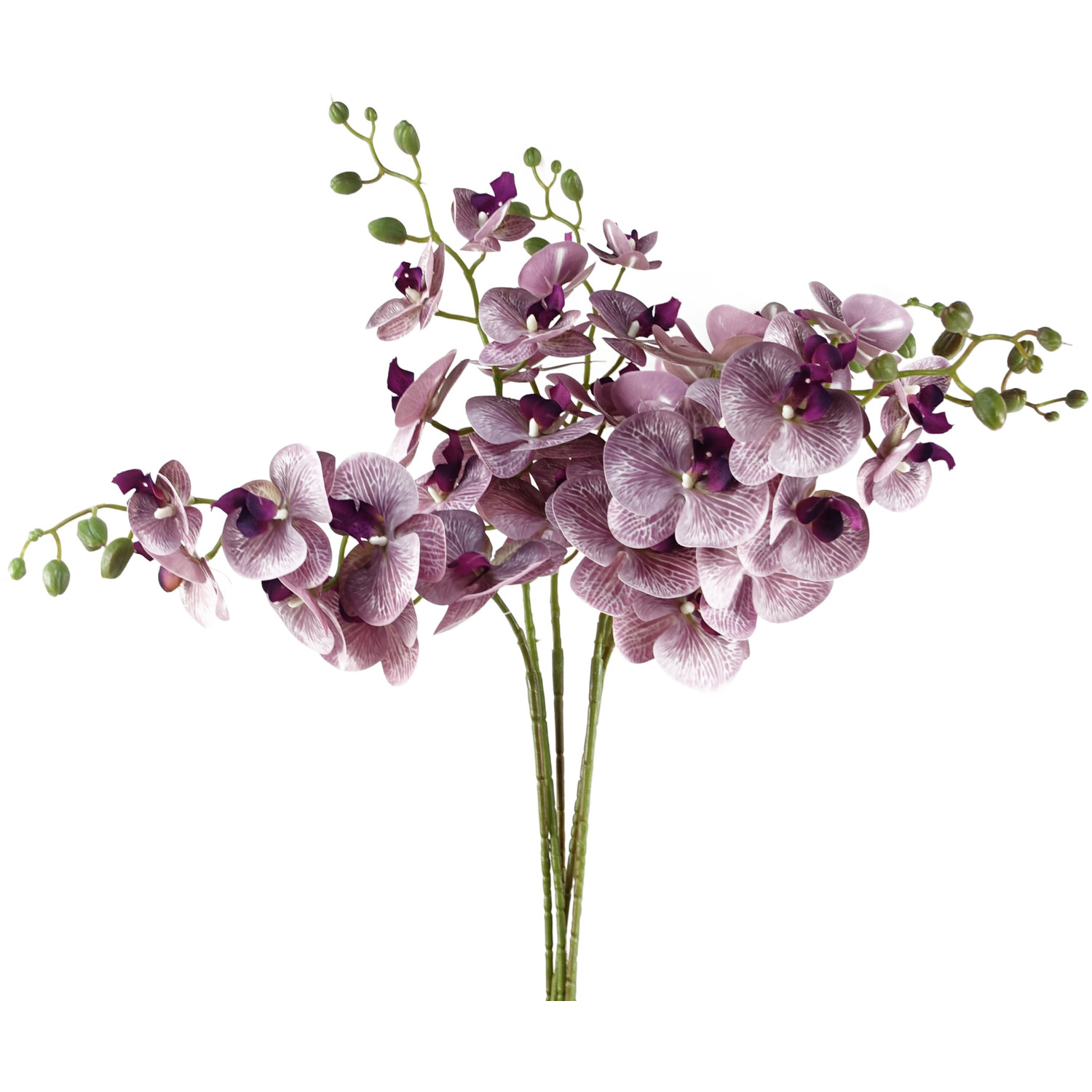 Pegdev Pack of 6 100cm Artificial Purple Orchid Stem 42 Realistic Flowers