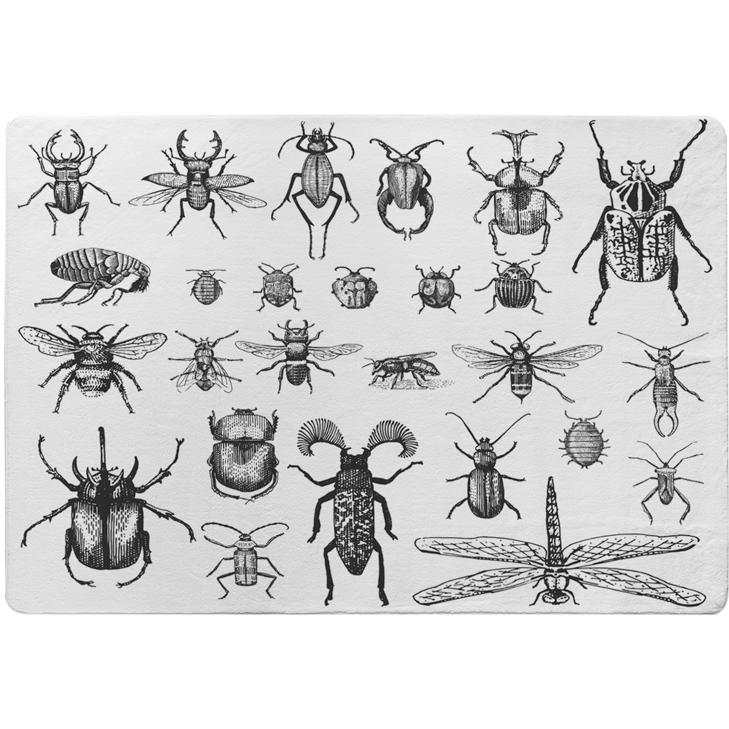 Fleas Many Species In Vintage Old Hand Drawn Style Designer Rug - White / 150cm