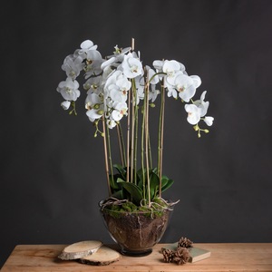 Large Orchid In Glass Pot Elegant Faux Flower