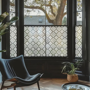 Agnosine Privacy Frosted Window Film