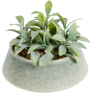 Faux Senecio in Reactive Glaze Pot