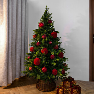 Hampton Fir Tree 6.5ft