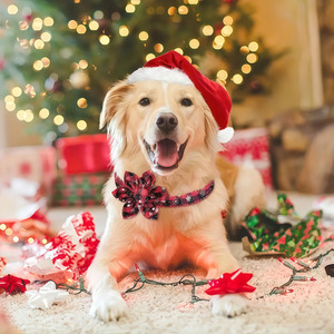 Christmas Dog Snowflake Bow Tie, Pet Collar 2Pcs